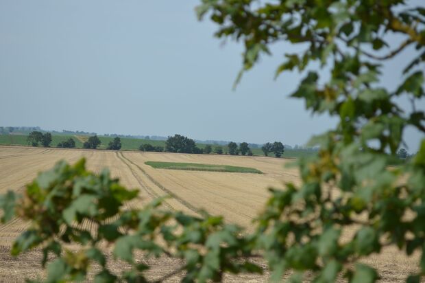 Erbsenfenster ©Stiftung Kulturlandschaft Sachsen Anhalt 