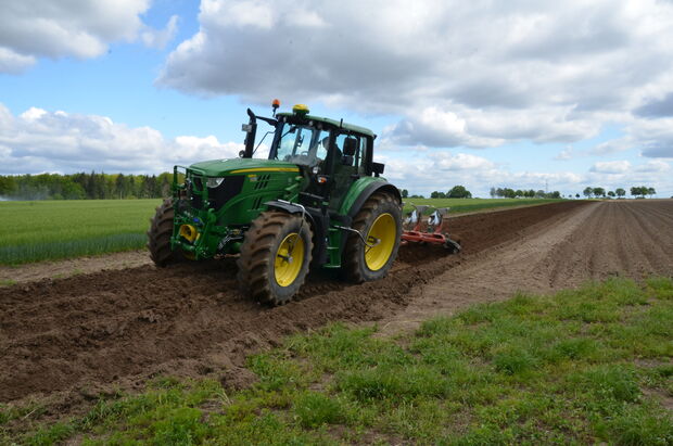 Anlegen eines Insektenwalls 